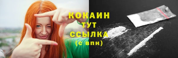 гидра Медвежьегорск