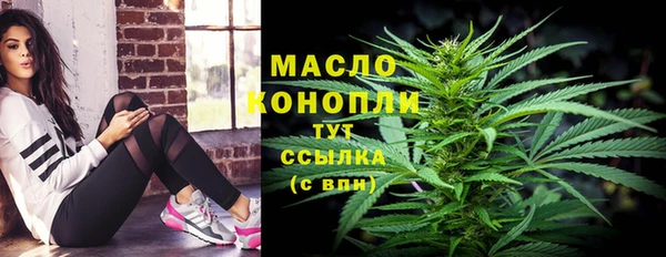 гидра Медвежьегорск