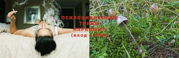 ALPHA-PVP Магадан