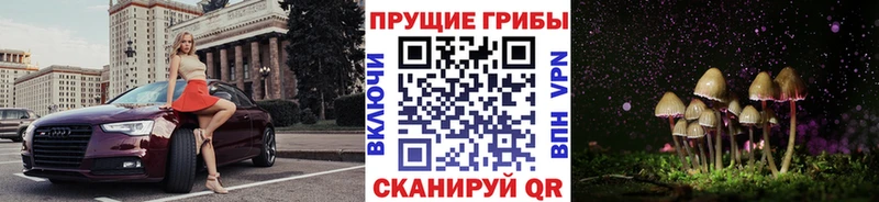 купить   Соликамск  Галлюциногенные грибы мухоморы 