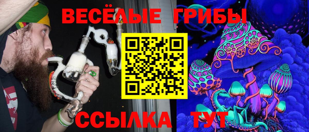 Галлюциногенные грибы Psilocybe  Псилоцибиновые грибы Psilocybine cubensis  Соликамск  Вход с VPN 