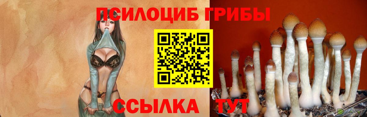 Галлюциногенные грибы Cubensis Соликамск