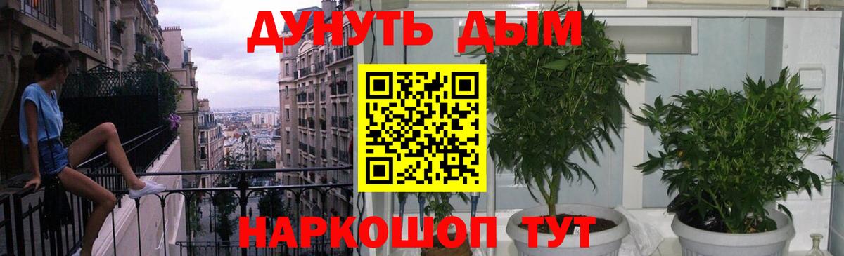 Каннабис индика Соликамск